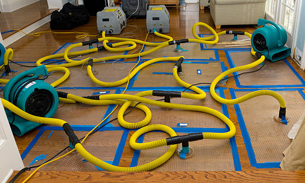 Professional Burst Pipe Water Damage technician working in Tunnelton, WV