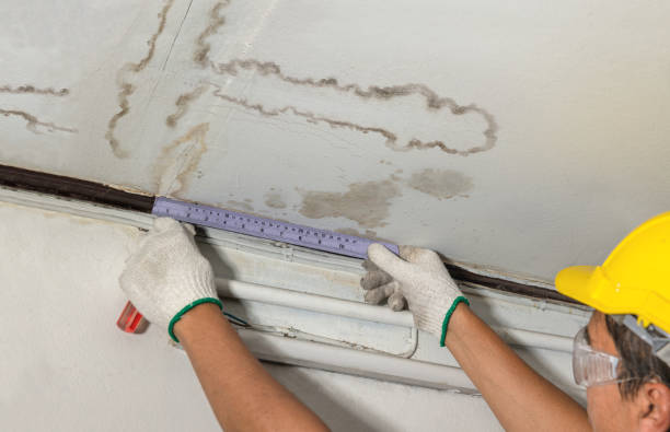 Affordable Water Damage Repair solutions in Tunnelton, WV